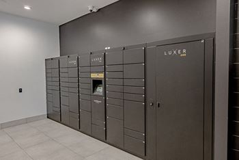 Secure parcel delivery system